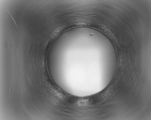 X0000057060257200510010115