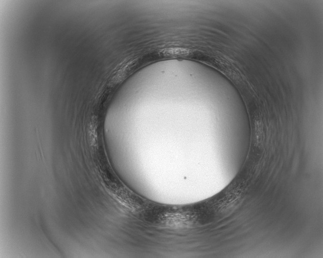 X0000057060259200510010115