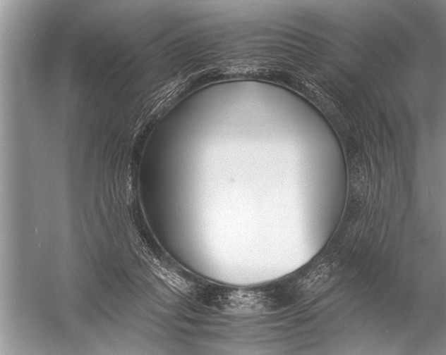 X0000057060261200510010115