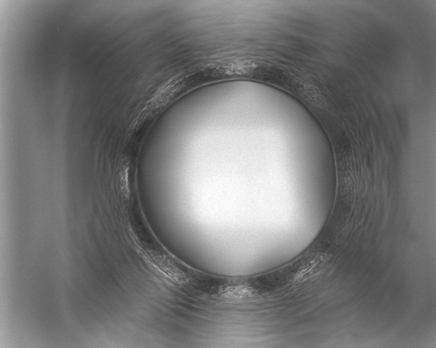 X0000057060262200510010115