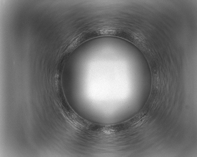 X0000057060263200510010115