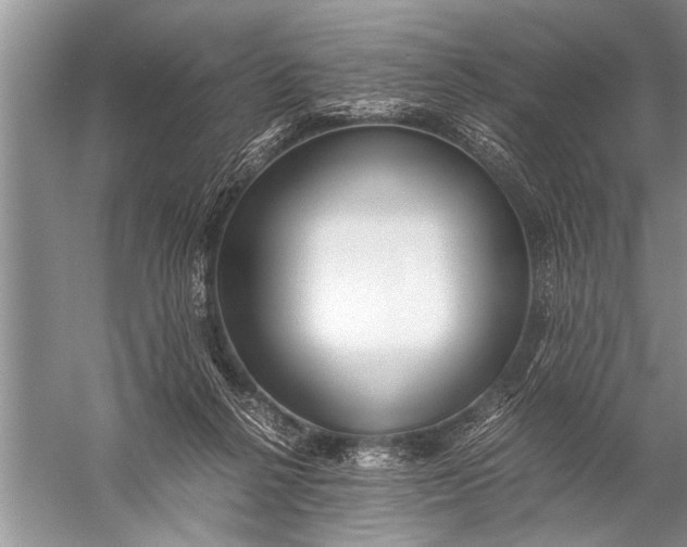 X0000057060264200510010115