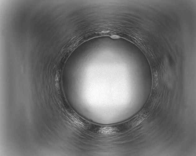 X0000057060269200510010115