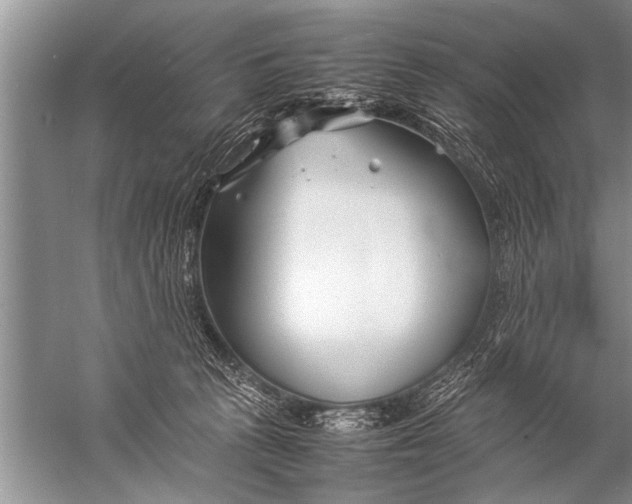 X0000057060273200510010115