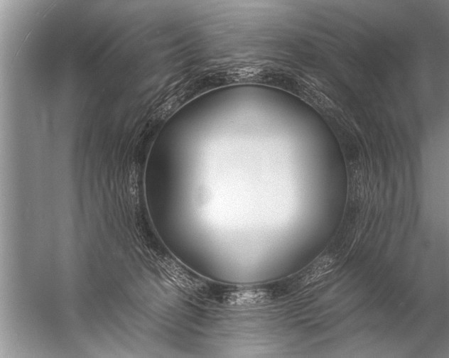 X0000057060274200510010115