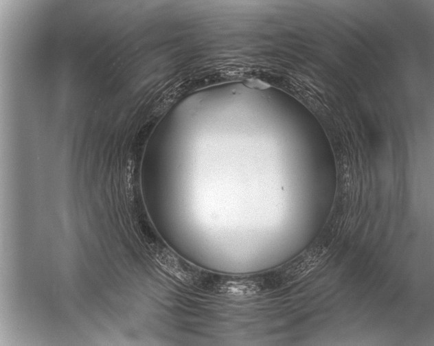 X0000057060275200510010115