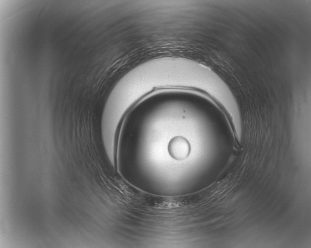 X0000057060276200510010115