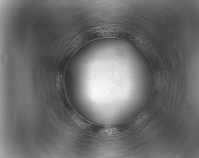 X0000057060278200510010115