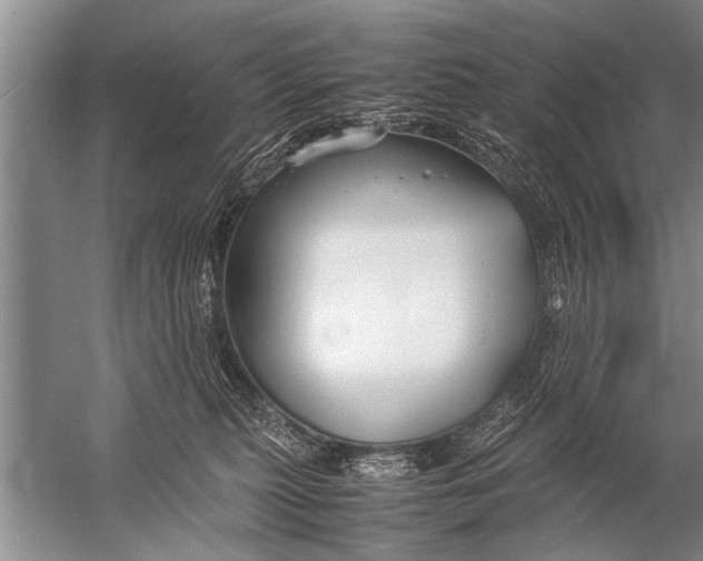 X0000057060279200510010115