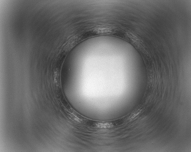 X0000057060281200510010115