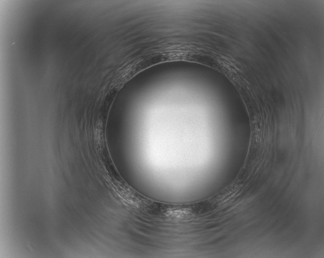 X0000057060283200510010115