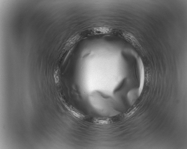 X0000057060285200510010115