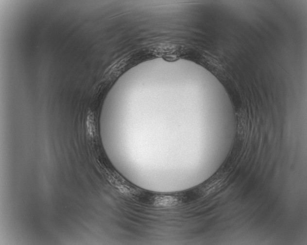 X0000057060287200510010115