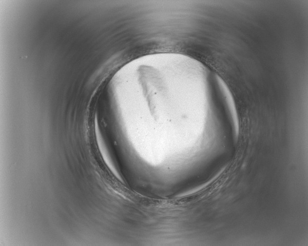 X0000057060290200510010114