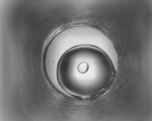 X0000057060293200510010114