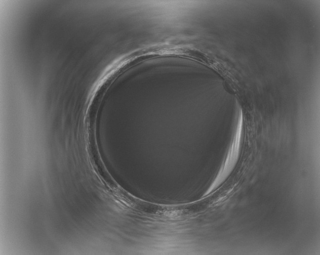 X0000057060295200510010114