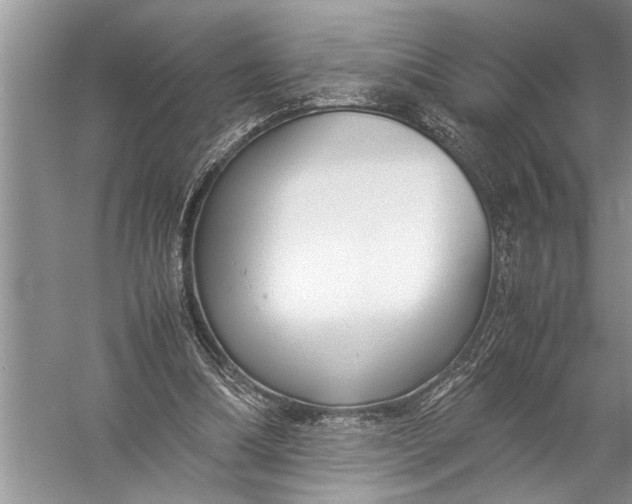 X0000057060298200510010114