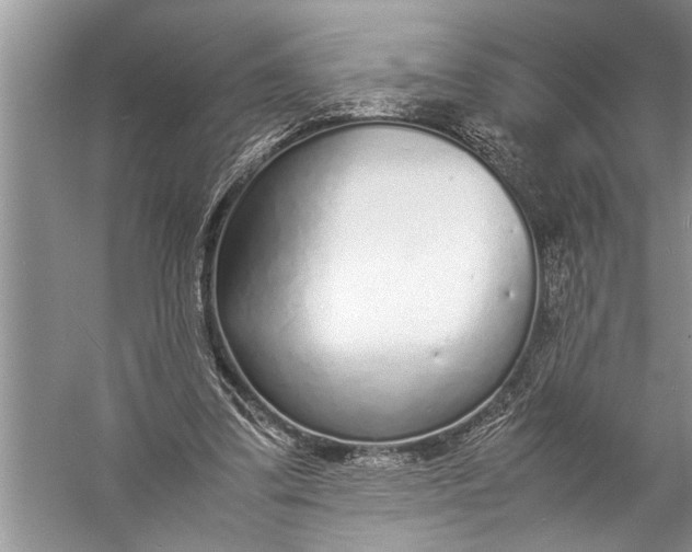 X0000057060299200510010114