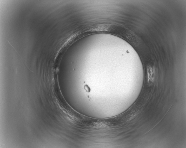 X0000057060300200510010114