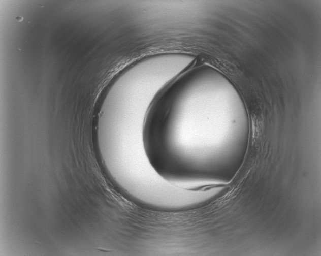 X0000057060301200510010114