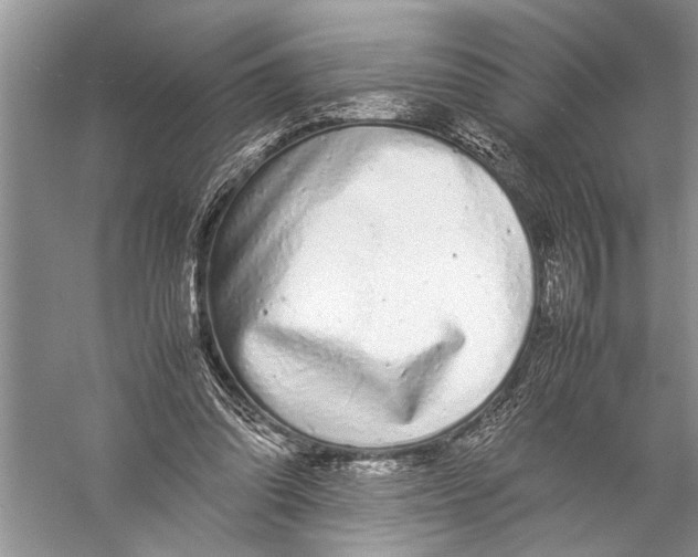 X0000057060302200510010114