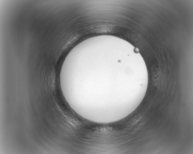 X0000057060304200510010114