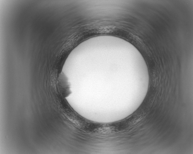 X0000057060307200510010114