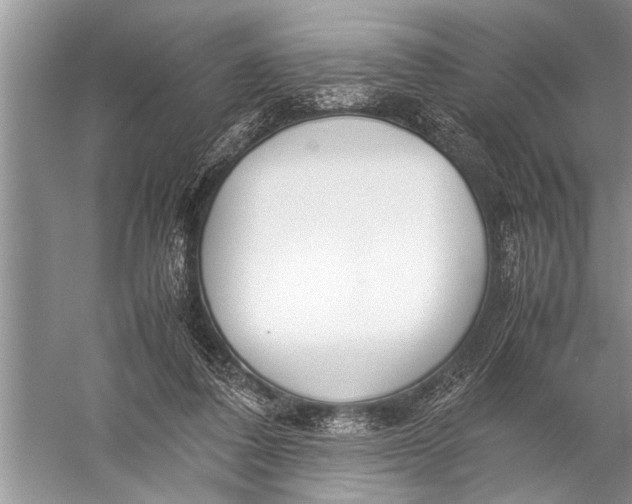 X0000057060308200510010114