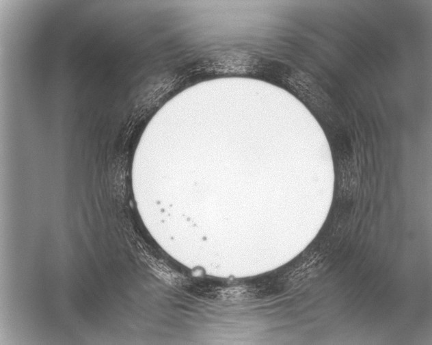 X0000057060309200510010114