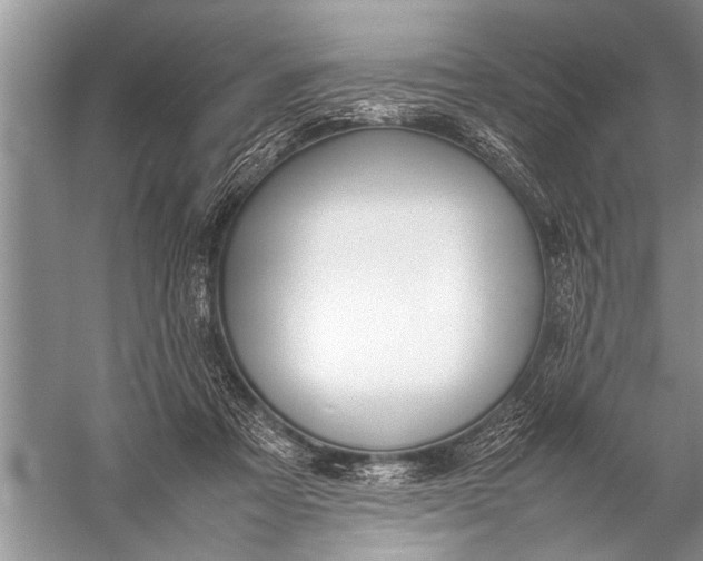 X0000057060313200510010114