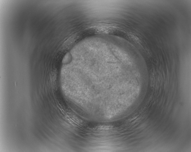 X0000057060314200510010114