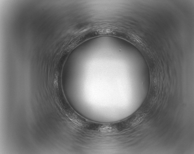 X0000057060315200510010114