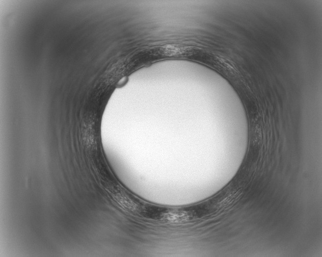 X0000057060317200510010114