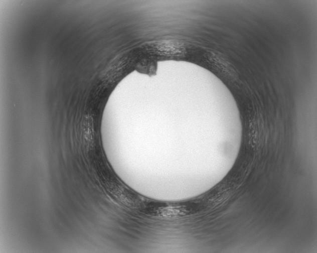 X0000057060320200510010114