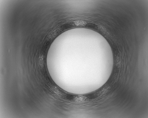 X0000057060321200510010114