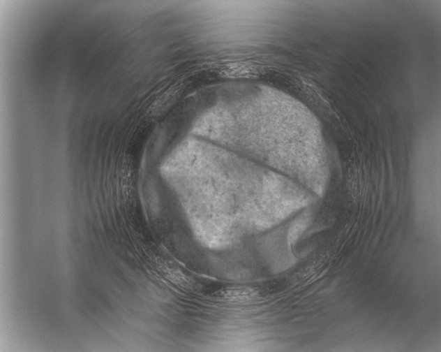 X0000057060322200510010114