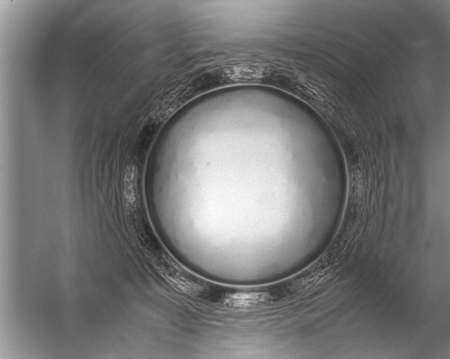 X0000057060323200510010114