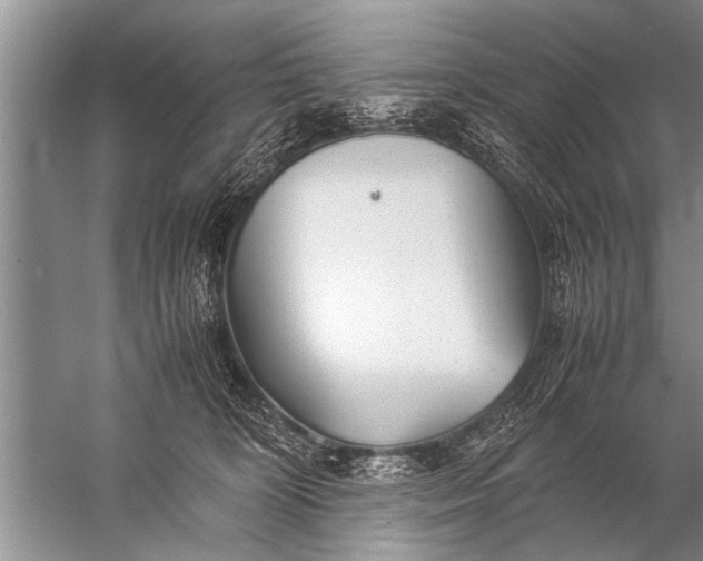 X0000057060324200510010114