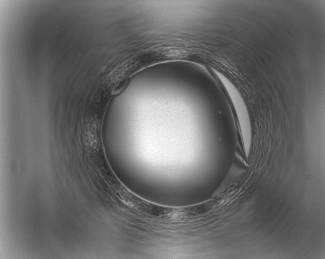 X0000057060325200510010114