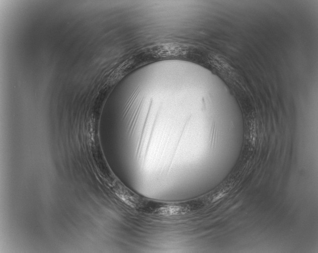 X0000057060326200510010114