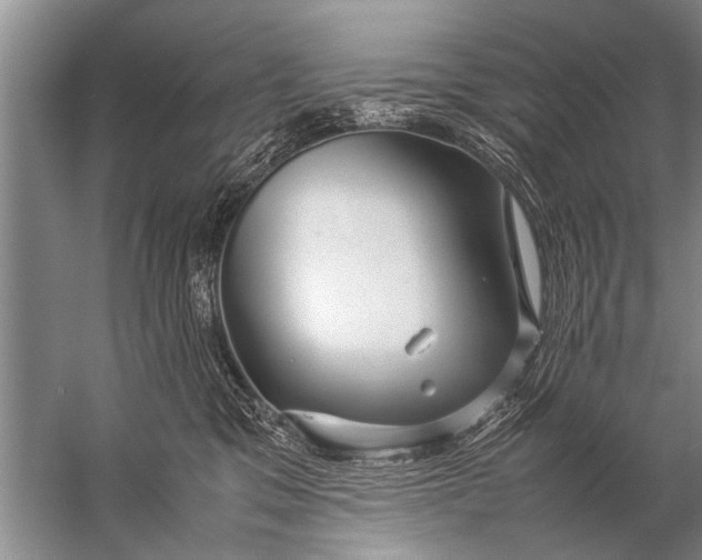 X0000057060329200510010114