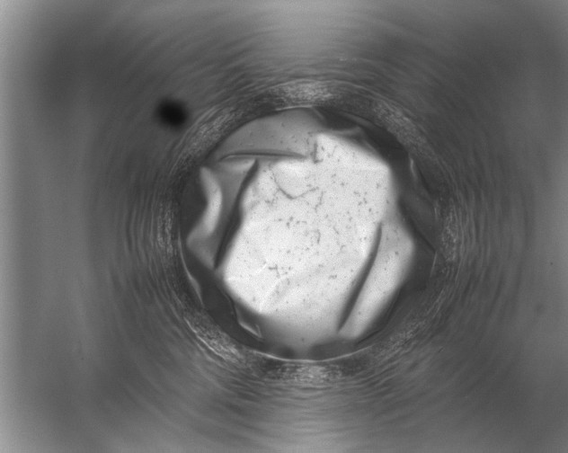 X0000057060330200510010114