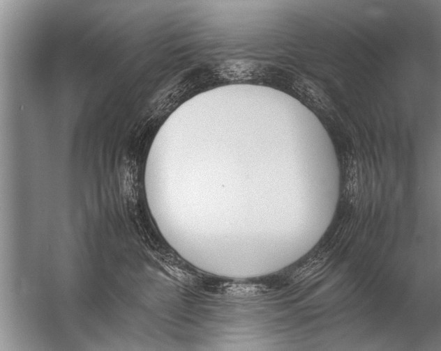 X0000057060332200510010114