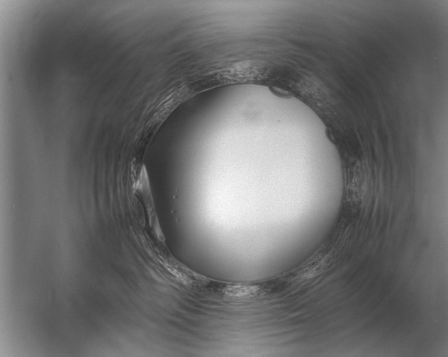 X0000057060334200510010114