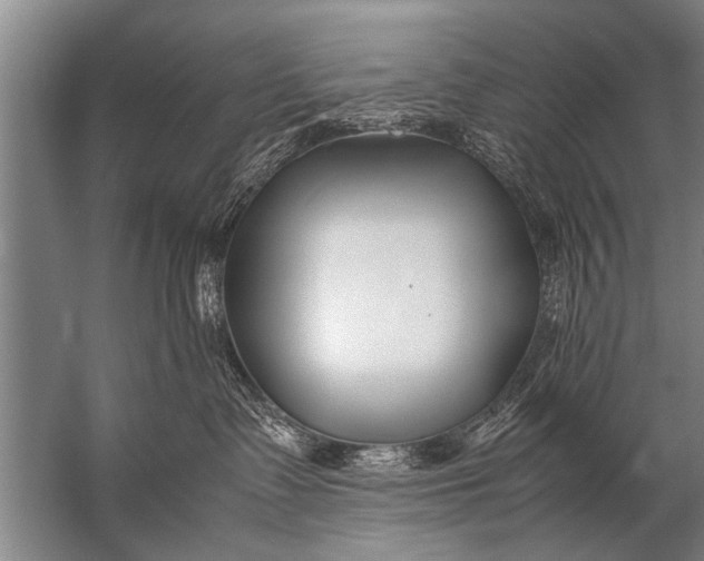 X0000057060335200510010114