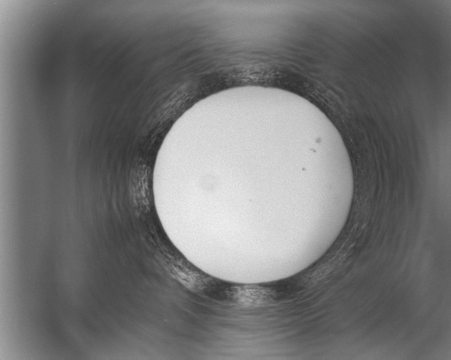 X0000057060336200510010114