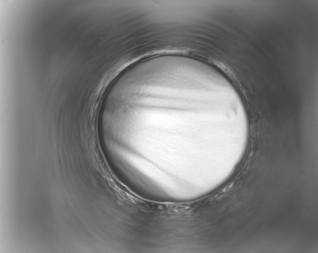 X0000057060337200510010113