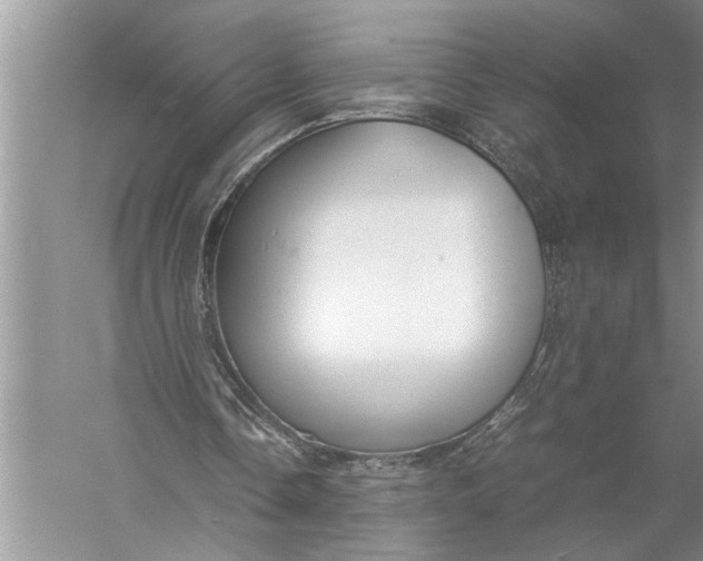 X0000057060338200510010113