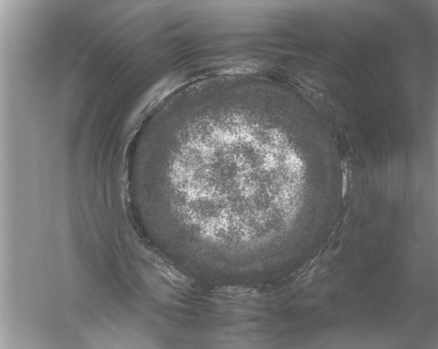 X0000057060339200510010113