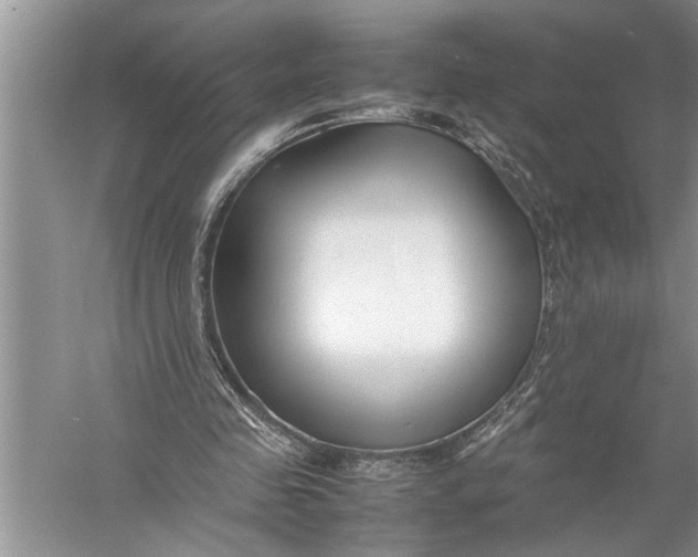 X0000057060341200510010113